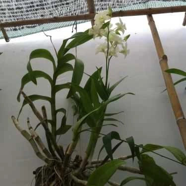 Không gian- Quán Ăn Cháo Tiều 70 - Ngô Gia Tự