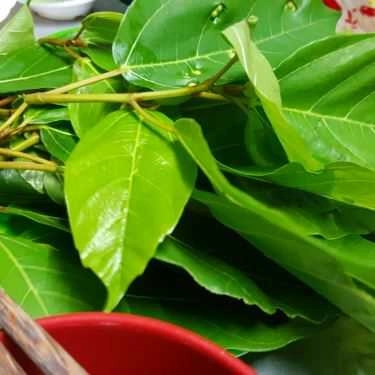 Món ăn- Quán Ăn Cháo Vịt Xiêm 126