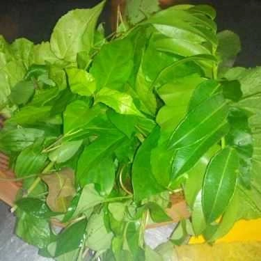 Tổng hợp- Quán Ăn Bánh Xèo 176 Ngô Quyền