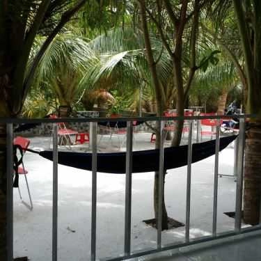 Không gian- Vườn Xưa Cafe