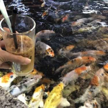 Không gian- Koi Coffee