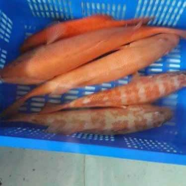 Tổng hợp- Quán Ăn Hải Yến Quán - Hùng Vương