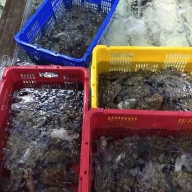 Tổng hợp- Quán Ăn Hải Yến Quán - Hùng Vương