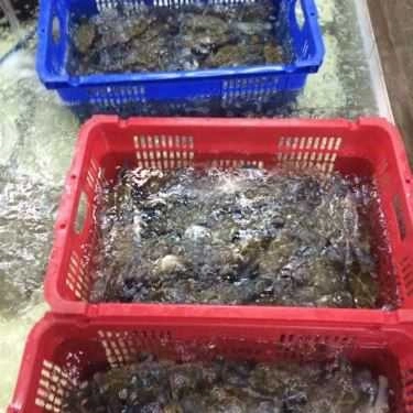 Tổng hợp- Quán Ăn Hải Yến Quán - Hùng Vương