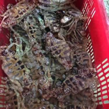 Tổng hợp- Quán Ăn Hải Yến Quán - Hùng Vương