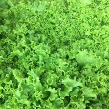 Tổng hợp- Quán Ăn Nam Đào - Quán Cá Lóc Nướng