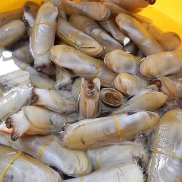 Tổng hợp- Nhà Hàng Đất Mũi - Vườn Quốc Gia Mũi Cà Mau