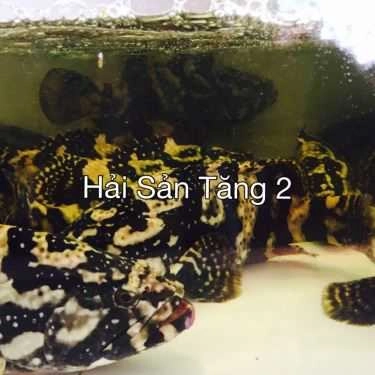 Tổng hợp- Nhà Hàng Tăng 2 Quán - Đinh Tiên Hoàng