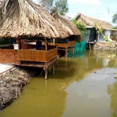 Không gian- Quán Ăn Tre Làng Quán - Các Món Đồng Quê