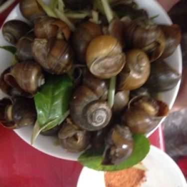 Món ăn- Ốc Oanh - Ăn Vặt Các Loại