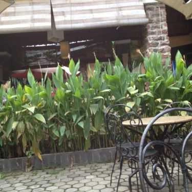 Không gian- Liễu Giai Cafe