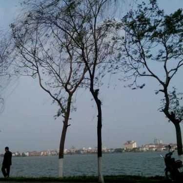 Tổng hợp- Như Ý Cafe - Nhật Chiêu