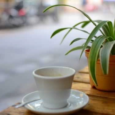 Tổng hợp- 90's Home - Coffee & Tea