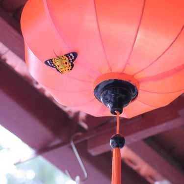 Tổng hợp- A Little Hoian - Coffee & Tea
