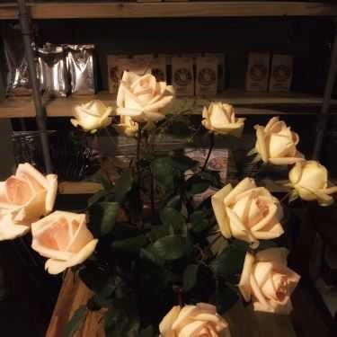 Tổng hợp- Abc Coffee And Roastery - Lạc Long Quân