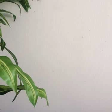 Tổng hợp- Abu Cafe - Nguyễn Đình Thi