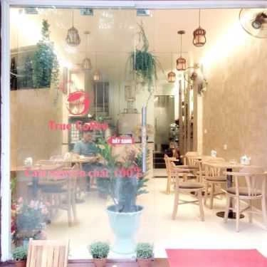 Tổng hợp- True Coffee - Hoàng Sâm