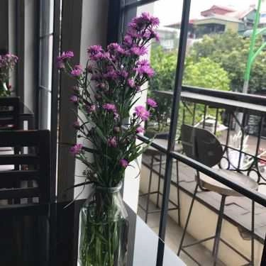 Tổng hợp- Fiftea Coffee