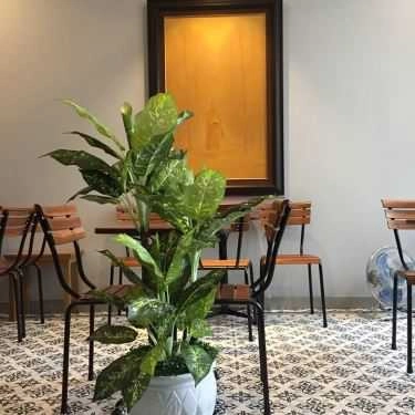 Không gian- Ivy Cafe - Hàn Thuyên