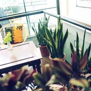 Tổng hợp- Lọ Mọ - Coffee & More