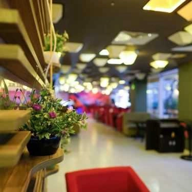 Professional- Cafe Hexa Club