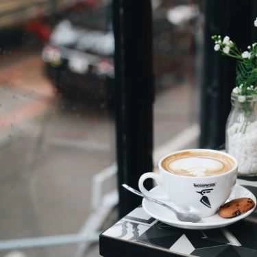 Professional- Woodpecker Coffee