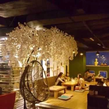 Professional- Cafe Hexa Club