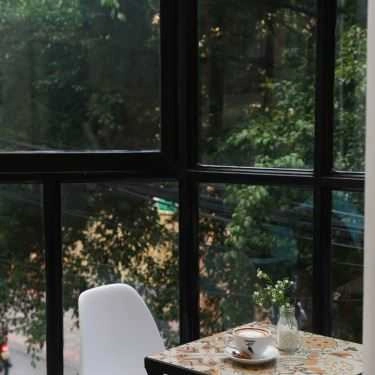 Professional- Woodpecker Coffee