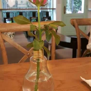 Tổng hợp- Flora Cafe
