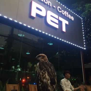 Tổng hợp- Amazon - Coffee Pet