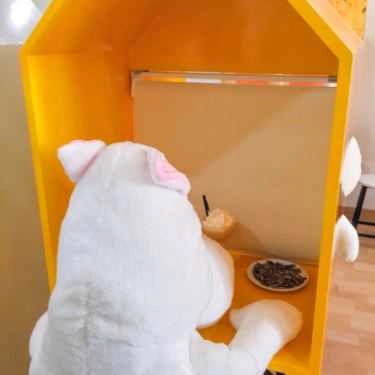 Tổng hợp- Alone Coffee