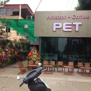 Không gian- Amazon - Coffee Pet
