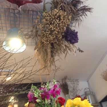 Tổng hợp- Jardin de Lanh Coffee & Flower