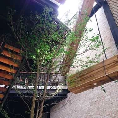 Tổng hợp- AN' Garden Cafe