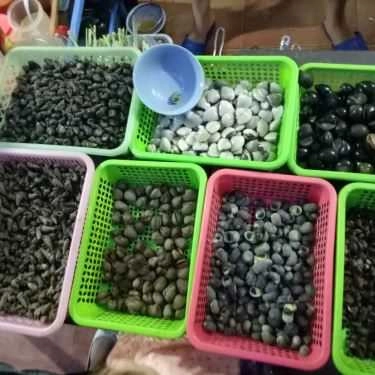 Tổng hợp- Ăn vặt Anh Phê - Ốc & Hải Sản