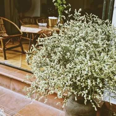 Tổng hợp- AnNamite Cafe