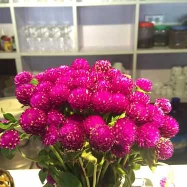 Tổng hợp- Appa Cafe