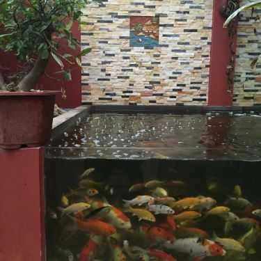 Tổng hợp- Army Chess Cafe