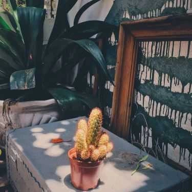 Tổng hợp- Auden Coffee