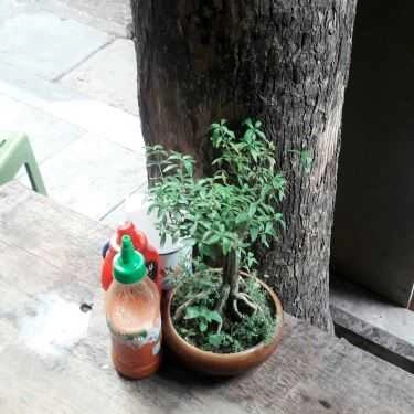 Tổng hợp- Ăn vặt Bánh Mì 25 - Hàng Cá