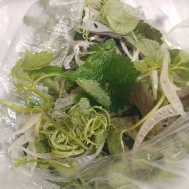 Tổng hợp- Ăn vặt Bánh Xèo Bình Định - Đội Cấn