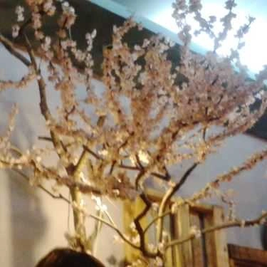 Tổng hợp- Bao Cấp Cafe