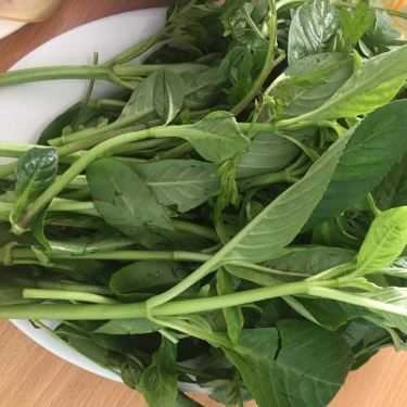Tổng hợp- Ăn vặt Bảo Hân Food - Bò Tơ Tây Ninh Hấp Gừng
