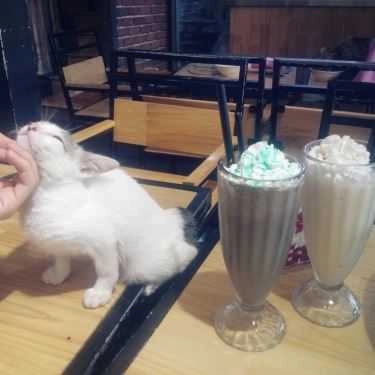 Tổng hợp- Bastet's Home Coffee - Hà Đông