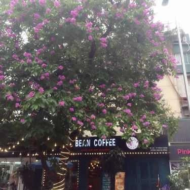 Tổng hợp- Bean Coffee