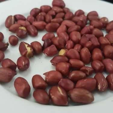 Món ăn- Quán Nhậu Bia Hơi Hà Nội - Trần Phú