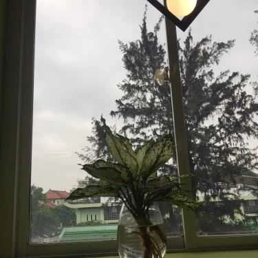 Không gian- Cafe BKHUP Coworking Space