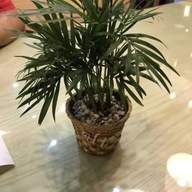 Tổng hợp- Cafe BlackBall - Chè & Trà Sữa Đài Loan - Nguyễn Chí Thanh