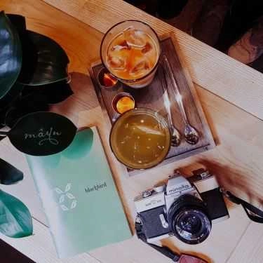 Tổng hợp- Blackbird Coffee
