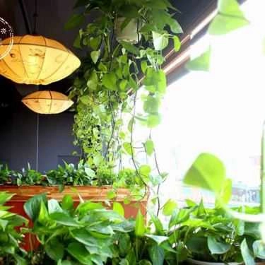 Tổng hợp- Bliss House - Cafe & Eats